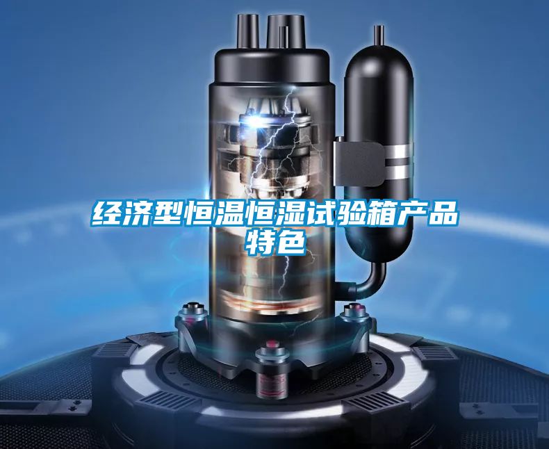經(jīng)濟(jì)型恒溫恒濕試驗箱產(chǎn)品特色