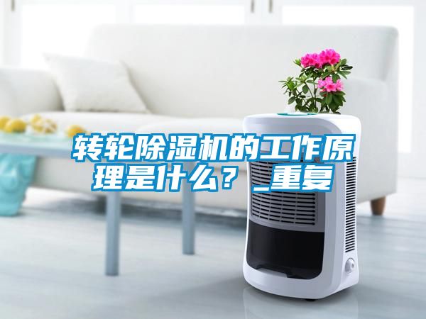 轉輪除濕機的工作原理是什么?_重復