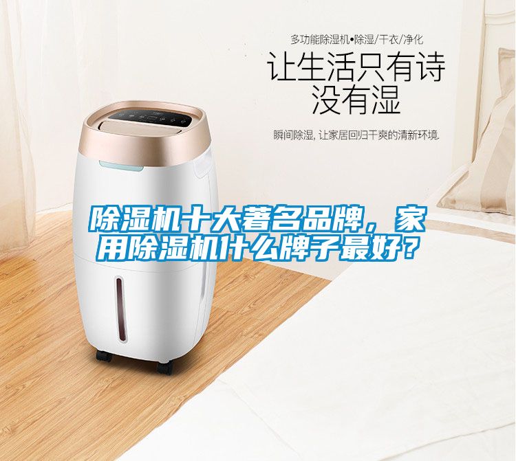 除濕機十大著名品牌,家用除濕機什么牌子最好?
