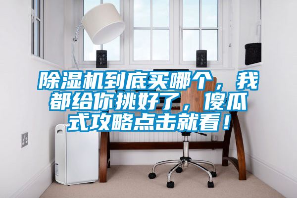 除濕機到底買哪個，我都給你挑好了，傻瓜式攻略點擊就看！