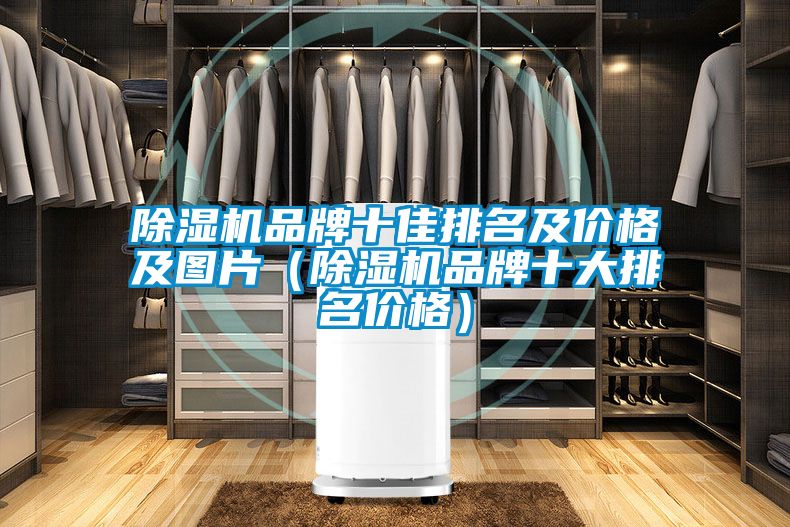 除濕機品牌十佳排名及價格及圖片(除濕機品牌十大排名價格)