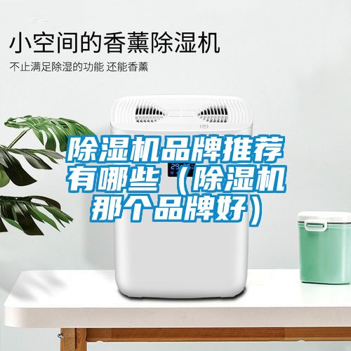 除濕機(jī)品牌推薦有哪些(除濕機(jī)那個(gè)品牌好)
