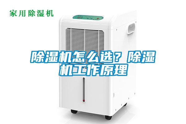 除濕機怎么選?除濕機工作原理