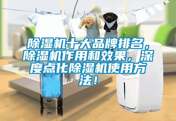 除濕機十大品牌排名,除濕機作用和效果,深度點化除濕機使用方法!