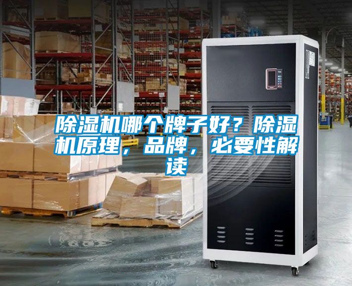 除濕機哪個牌子好？除濕機原理，品牌，必要性解讀