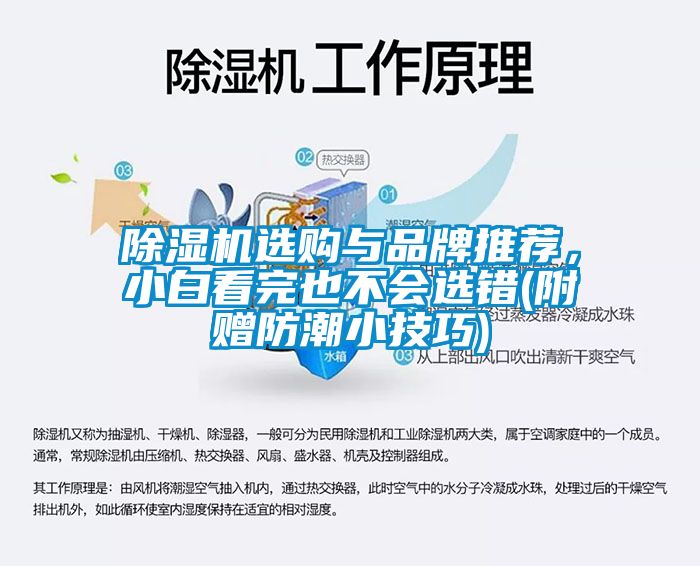 除濕機(jī)選購(gòu)與品牌推薦，小白看完也不會(huì)選錯(cuò)(附贈(zèng)防潮小技巧)