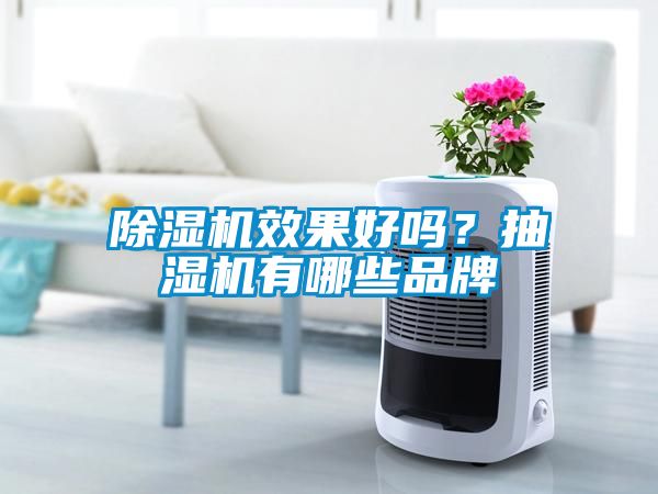 除濕機效果好嗎?抽濕機有哪些品牌