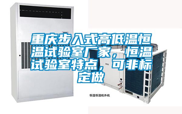 重慶步入式高低溫恒溫試驗(yàn)室廠家，恒溫試驗(yàn)室特點(diǎn)，可非標(biāo)定做