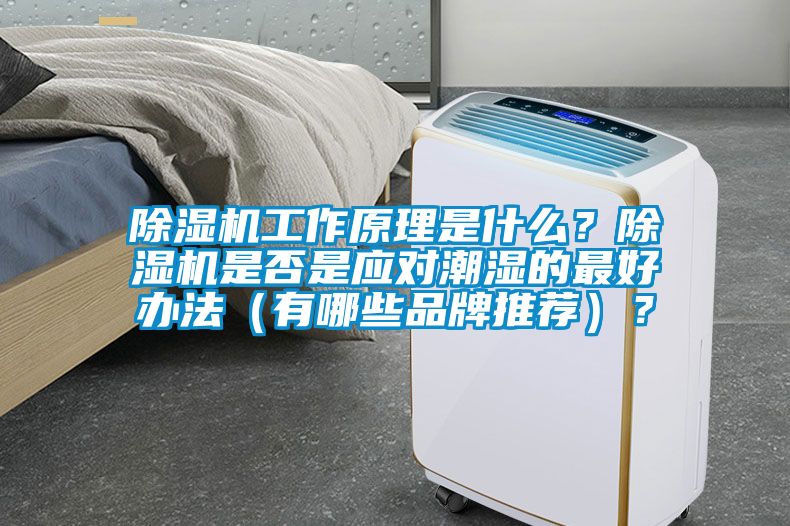 除濕機工作原理是什么？除濕機是否是應對潮濕的最好辦法（有哪些品牌推薦）？