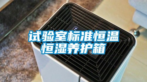 試驗室標準恒溫恒濕養(yǎng)護箱