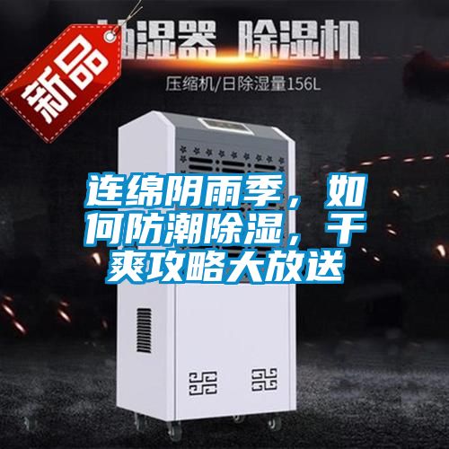 連綿陰雨季，如何防潮除濕，干爽攻略大放送