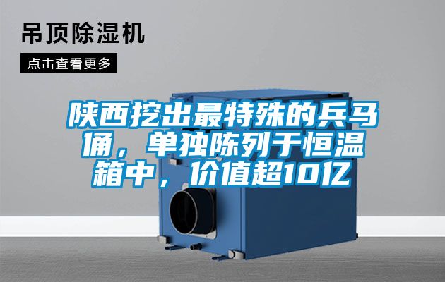 陜西挖出最特殊的兵馬俑，單獨(dú)陳列于恒溫箱中，價(jià)值超10億