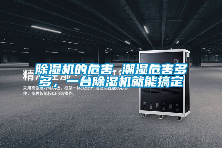 除濕機(jī)的危害 潮濕危害多多，一臺(tái)除濕機(jī)就能搞定