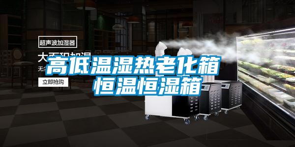 高低溫濕熱老化箱 恒溫恒濕箱