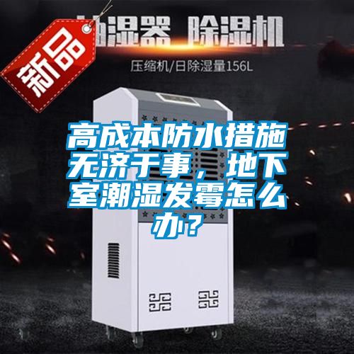 高成本防水措施無濟于事，地下室潮濕發霉怎么辦？