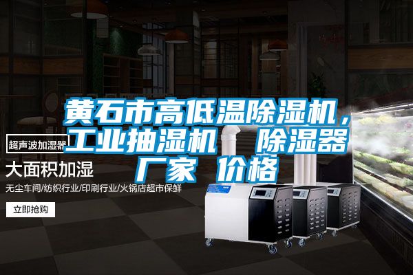 黃石市高低溫除濕機,工業抽濕機 除濕器廠家 價格