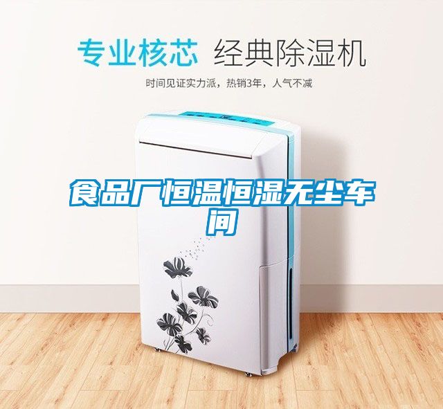 食品廠恒溫恒濕無(wú)塵車間