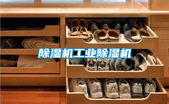 除濕機工業除濕機